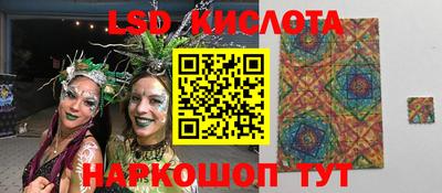 эйфоретик Берёзовский