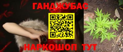дмт Бийск