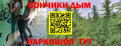 дмт Бийск