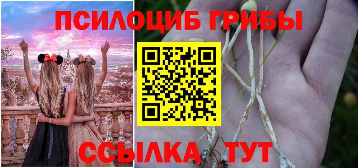 Псилоцибиновые грибы мицелий Кемерово