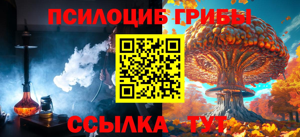 цены наркотик  Галлюциногенные грибы прущие грибы  Вход с VPN  Кемерово  Галлюциногенные грибы Psilocybe 
